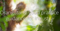 Orangutans: good practice guidance for industry 