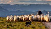 Towards Nature Positive: How Italy's 'Wool City' can inspire a natural fibre revolution 