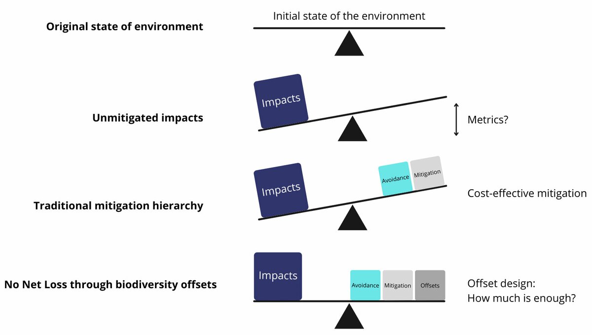 mitigation-hierarchy-the-biodiversity-consultancy